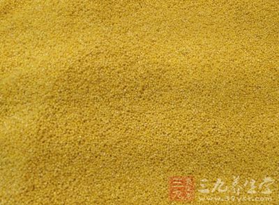 每100克玉米面(黄玉米面)营养成分 每100克玉米面(黄玉米面)营养成分