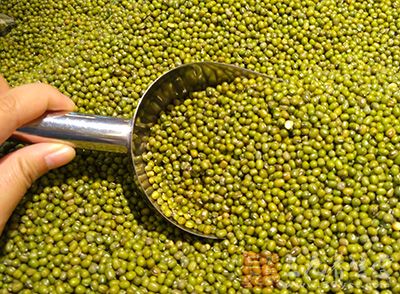 绿豆营养丰富，其籽粒中含有蛋白质22%～26%