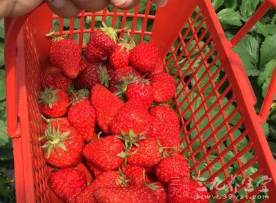 草莓的维生素含量很高,是一种有益心脏健康的浆果 草莓的维生素含量很高,是一种有益心脏健康的浆果