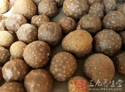 “山药豆”,有食补作用,其作用与山药大致相同 “山药豆”,有食补作用,其作用与山药大致相同