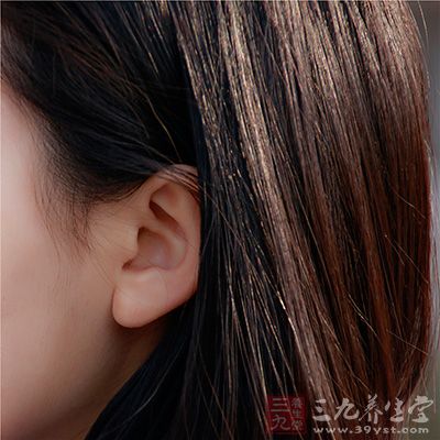 我们的耳朵可以听到很多声音