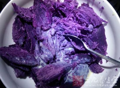 矿物质之后的第七大必需营养素