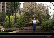 茉莉广场舞 情歌风舞蹈凉山的月亮教学