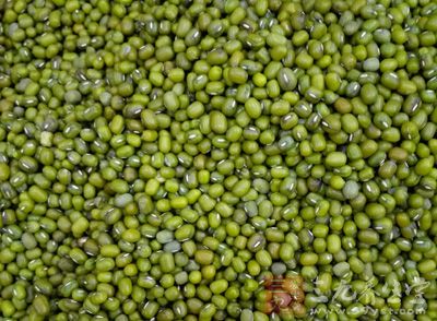 老鸽子一只、绿豆适量