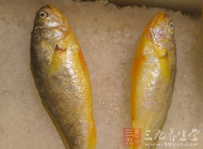 金槍魚被譽(yù)為蛋白質(zhì)佳來源，享用一份85克的金槍魚，就能攝入20克蛋白質(zhì)