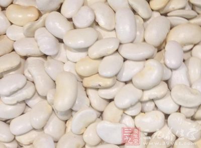 白豆所含维生素B1能维持正常的消化腺分泌和胃肠道蠕动的功能 白豆所含维生素B1能维持正常的消化腺分泌和胃肠道蠕动的功能