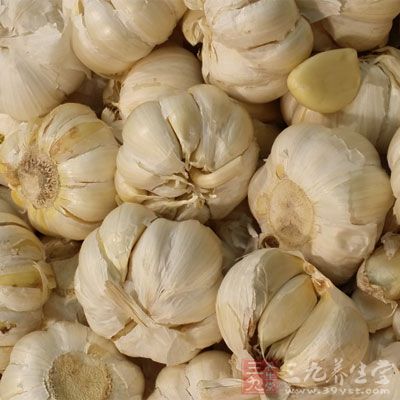 大蒜中特殊的蒜素(allicin)能降低胆固醇的合成