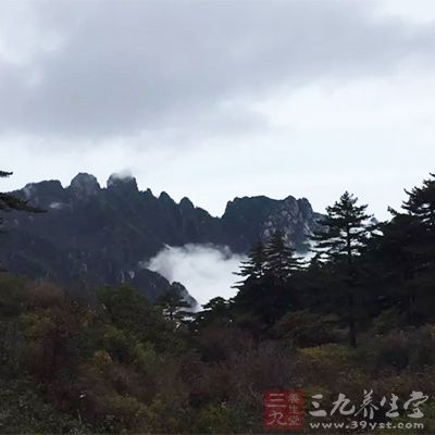 区内峰峦林立，原始森林茂密