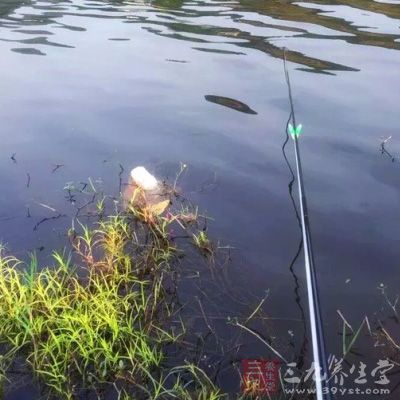 釣鯽魚，要用細鉤細線