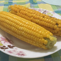 玉米的功效 吃玉米能延缓衰老降低胆固醇