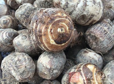 魔芋能提高机体的免疫力