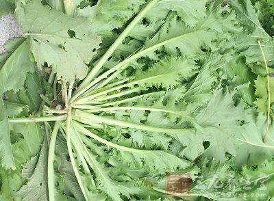 1、醒脑提神 1、醒脑提神