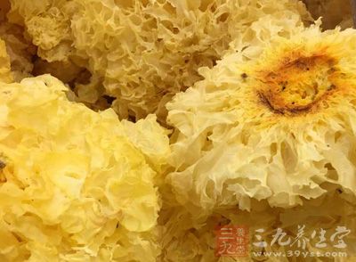 白木耳是种含膳食纤维的减肥食品 白木耳是种含膳食纤维的减肥食品