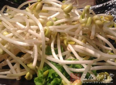 黄豆芽具有清热利湿、消肿除痹、祛黑痣 黄豆芽具有清热利湿、消肿除痹、祛黑痣