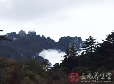 山色不同，神态各异