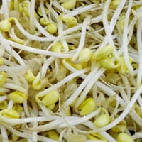 黄豆芽的营养价值 吃黄豆芽能治疗口腔溃疡