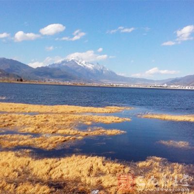 原本的盐碱沼泽地现在已是植被多样，生机盎然