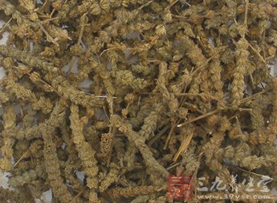 荆芥穗的作用 荆芥穗的作用