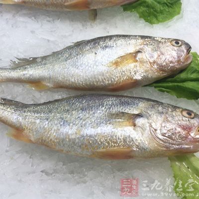 生魚體內(nèi)含有許多寄生蟲