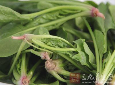 菠菜是降压饮食中不可或缺的蔬菜