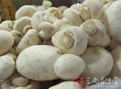 口蘑中含有大量的维生素D
