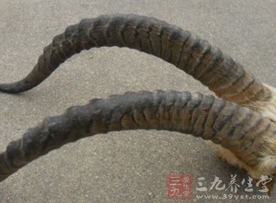 羚羊角为介类药物,能平肝潜阳,镇惊熄风,明目,兼清心肺 羚羊角为介类药物,能平肝潜阳,镇惊熄风,明目,兼清心肺