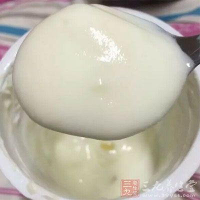 鲜牛奶消毒后经乳酸杆菌发酵而成