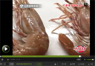 20160220健康好味道视频：鲜虾的做法