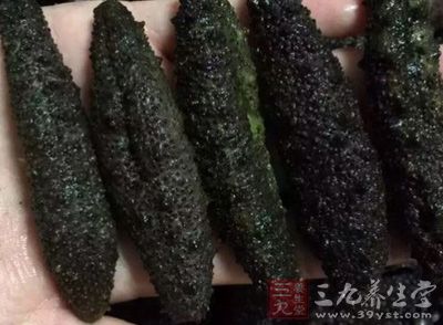 海参的功效与作用 海参的功效与作用