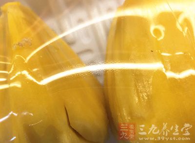 菠蘿蜜樹的樹高一般為15至20米