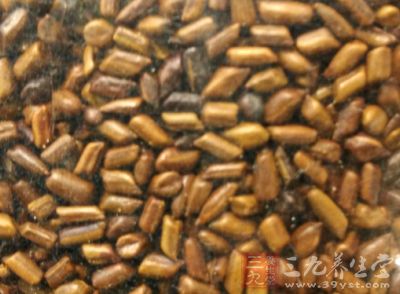 决明子煎剂或决明子散剂6g/只喂饲大鼠8周 决明子煎剂或决明子散剂6g/只喂饲大鼠8周