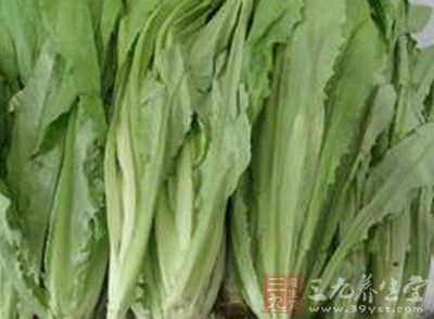 油麦菜中含有甘露醇等有效成分,有利尿和促进血液循环的作用 油麦菜中含有甘露醇等有效成分,有利尿和促进血液循环的作用