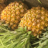 菠萝的营养价值 吃菠萝能缓解感冒的症状