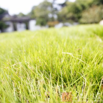 盡量挑選一個空氣清新而且比較安靜的場所