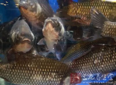 草鱼味甘、性温、无毒，入肝、胃经