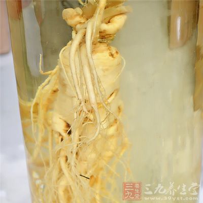 酒本身就是药,也可以治病,与药同用,药借酒势 酒本身就是药,也可以治病,与药同用,药借酒势