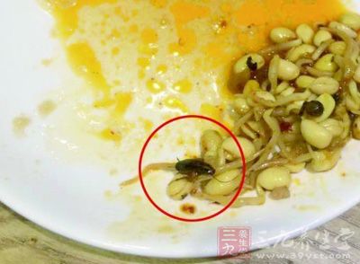 水煮肉片里吃出蟑螂 吕氏疙瘩汤正在排查来源