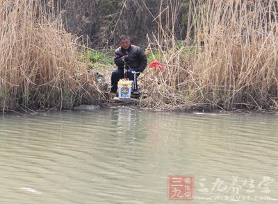 钓鱼技巧 春季江河钓鲫鱼的技巧有哪些
