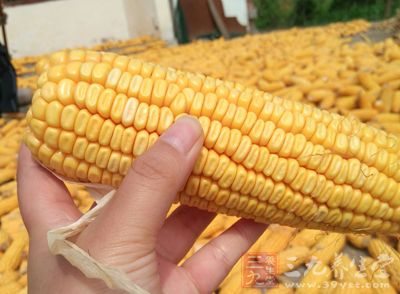 发霉的花生玉米 发霉的花生玉米