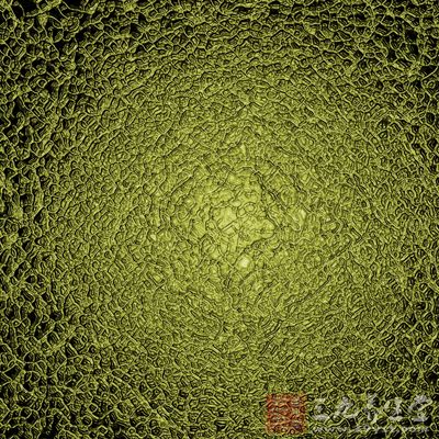 蚊子植入杀手基因 科学家借此对抗寨卡病毒