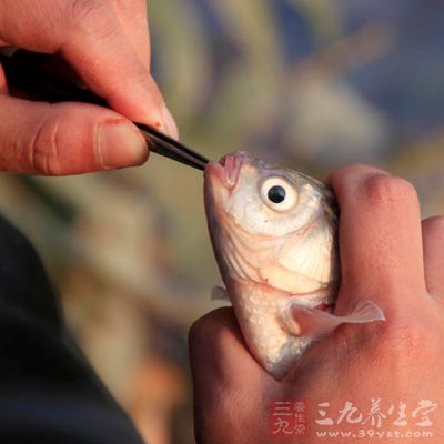 水溫上升的另一優(yōu)勢(shì)就是，魚(yú)兒活性大大增強(qiáng)