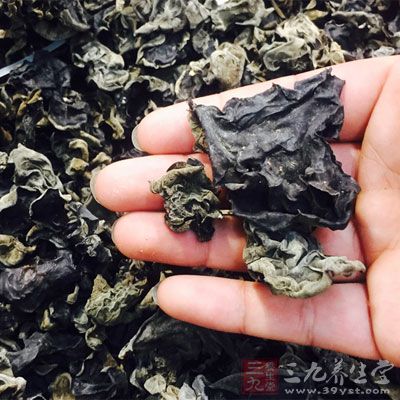 黑木耳學(xué)名叫做桑耳，具有滋養(yǎng)益胃的作用