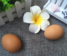 高胆固醇血症者不能吃鸡蛋吗