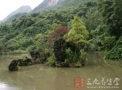 水库钓鱼 夏季什么时候可以在水库垂钓