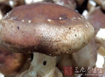 香菇作为“四大山珍”之一，有“植物皇后”“素中之肉”的名称