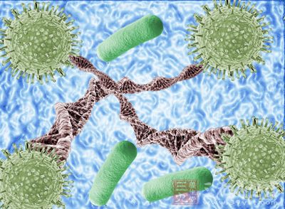 病毒识别和攻击人类宿主细胞的生物结构
