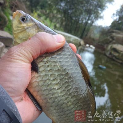 小雨和雨過后的一段時間是釣魚的黃金時期