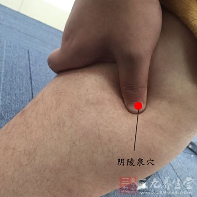 阴陵泉位于膝关节内侧，胫骨内侧髁凹陷处