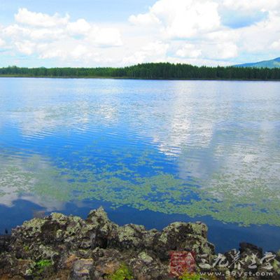 九寨沟旅游攻略 夏天的九寨沟风景瑰丽秀美