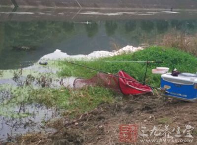 钓草鱼技巧 夏日钓草鱼的三个技巧